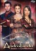 Andromeda-Season 4 Collection [Dvd]