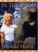 In the Wild: the Elephants of India With Goldie Hawn [Vhs]