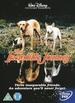 The Incredible Journey [Dvd]