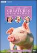 All Creatures Great and Small-the Complete Series 7 Collection [Dvd]