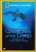 National Geographic's Dolphins: the Wild Side [Vhs]