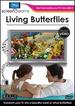 Living Butterflies