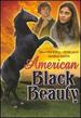 American Black Beauty (2005) [Vhs]