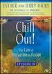Chill Out! the Law of Attraction in Action, Episode IV