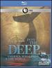Into the Deep: America, Whaling & the World (American Experience) [Blu-Ray]