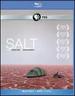 Salt [Blu-Ray]