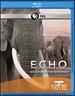 Echo: an Elephant to Remember