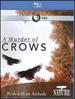 Nature: a Murder of Crows [Blu-Ray]