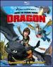 How to Train Your Dragon (Single Disc Edition) [Blu-Ray]