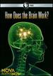 Nova Science Now: How Does the Brain Work [Dvd]