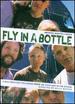 Fly in a Bottle