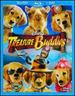 Treasure Buddies (Two-Disc Blu-Ray/Dvd Combo)