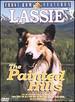 Lassie's Adventures in the Goldrush