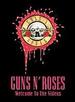 Guns 'N' Roses: Welcome to the Videos [Dvd] [2003]