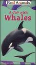 Real Animals: Day With Whales [Vhs]