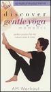 Morning Workout for Beginners (Lilias Silver Yoga Series) [Vhs]