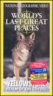 National Geographic's Yellowstone: Realm of the Coyote [Vhs]