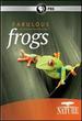 Nature: Fabulous Frogs