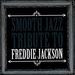 Smooth Jazz Tribute to Freddie Jackson