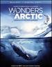 Imax: Wonders of the Arctic [Blu-Ray]