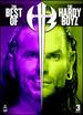 Wwe: Twist of Fate: the Best of the Hardy Boyz (Alt Art O-Slv) (Dvd)