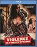 Violence in a Women's Prison [Blu-Ray]