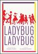 Ladybug Ladybug