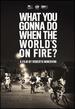 What You Gonna Do When the World's on Fire? [Dvd]