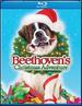 Beethoven's Christmas Adventure [Blu-Ray]