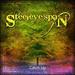 Catch Up-the Essential Steeleye Span