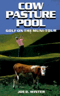 Cow Pasture Pool - Winter, Joe D