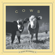 Cows: A Rumination
