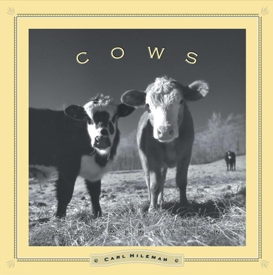 Cows: A Rumination - Hileman, Carl