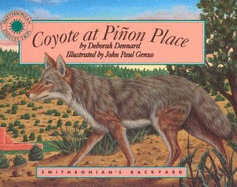 Coyote at Pinon Place