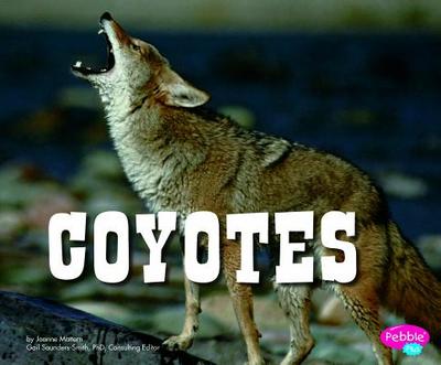 Coyotes - Mattern, Joanne