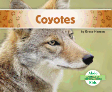 Coyotes