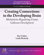 Creating Connections in the Developing Brain: Mechanisms Regulating Corpus Callosum Development