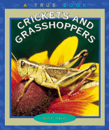 Crickets and Grasshoppers