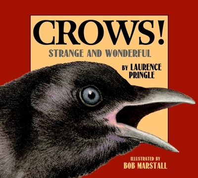 Crows!: Strange and Wonderful - Pringle, Laurence