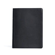 CSB Life Counsel Bible, Genuine Leather: Practical Wisdom for All of Life