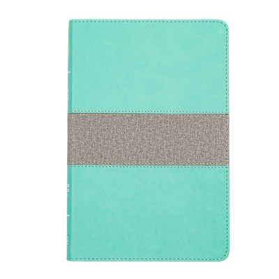 CSB Thinline Reference Bible, Mint/Gray Leathertouch - Csb Bibles by Holman