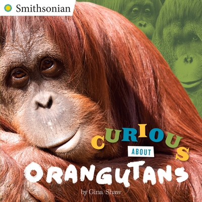 Curious about Orangutans - Shaw, Gina