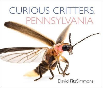 Curious Critters Pennsylvania - FitzSimmons, David