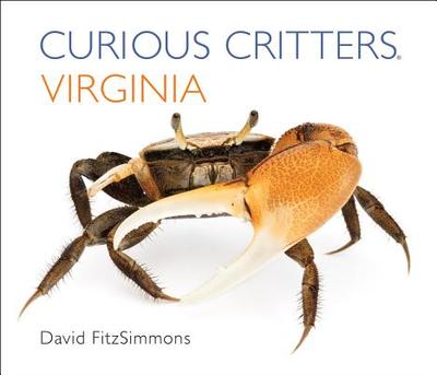 Curious Critters Virginia - Fitzsimmons, David