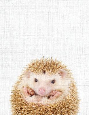 Cute Animal Composition Book Hedgehog: 8.5 X 11'', 200 Wide Ruled Pages, Notebook for School Softcover Canvas Design: Large Notebook Journal for Teacher, Students, and College - Library, Bb Book'n