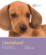 Dachshund - Dog Expert