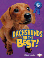 Dachshunds Are the Best!