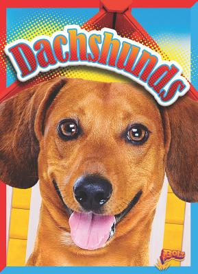 Dachshunds - Hogan, Christa C