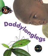 Daddylonglegs