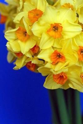 Daffodils: Notebook, 6 x 9, 150 Lined Pages, Softcover - Wild Pages Press